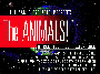 mega-cd:klein_animals_cd_01.gif