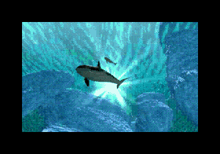 mega-cd:klein_ecco_tides_of_time_cd_04.gif