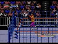 klein_rage_in_the_cage_cd_08.jpg
