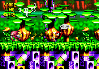 klein_chaotix_05.gif