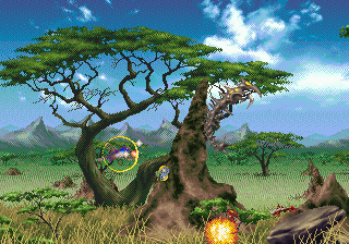 klein_kolibri_04.gif