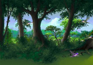 klein_kolibri_07.gif