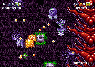 klein_basq7.gif