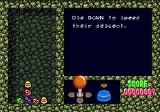 klein_drr2.jpg