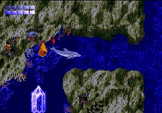 klein_ecco2.jpg