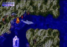 klein_ecco2.jpg