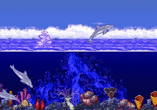 klein_ecco3.jpg