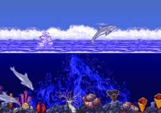 klein_ecco3.jpg