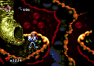 klein_ewj5.gif