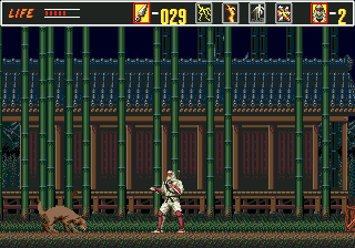 klein_resh4.gif