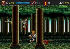 klein_shinobi34.jpg