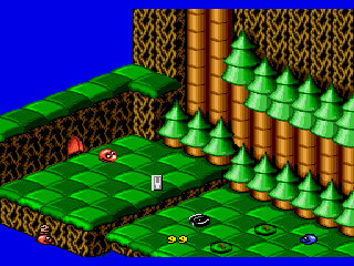 megadrive:klein_snake_rattle_n_roll_04.gif
