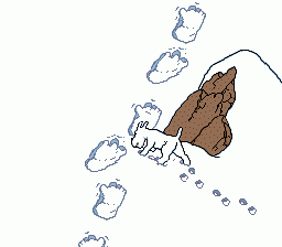 klein_tim4.gif