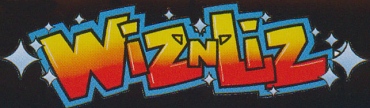 logo_wiznliz.jpg