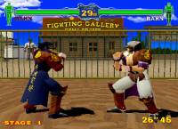 klein_fighting_vipers_05.jpg