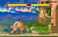 klein_street_fighter_collection_08.jpg