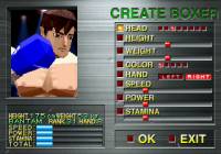 klein_victory_boxing_04.jpg