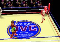 klein_victory_boxing_08.jpg