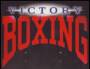 sat:logo_victory_boxing.jpg