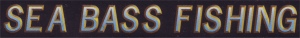 saturn_sea_bass_fishing_klein.jpg